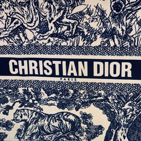 Dior Book Tote Oblique Embroidery With OG Box & Dust Bag & Scarf