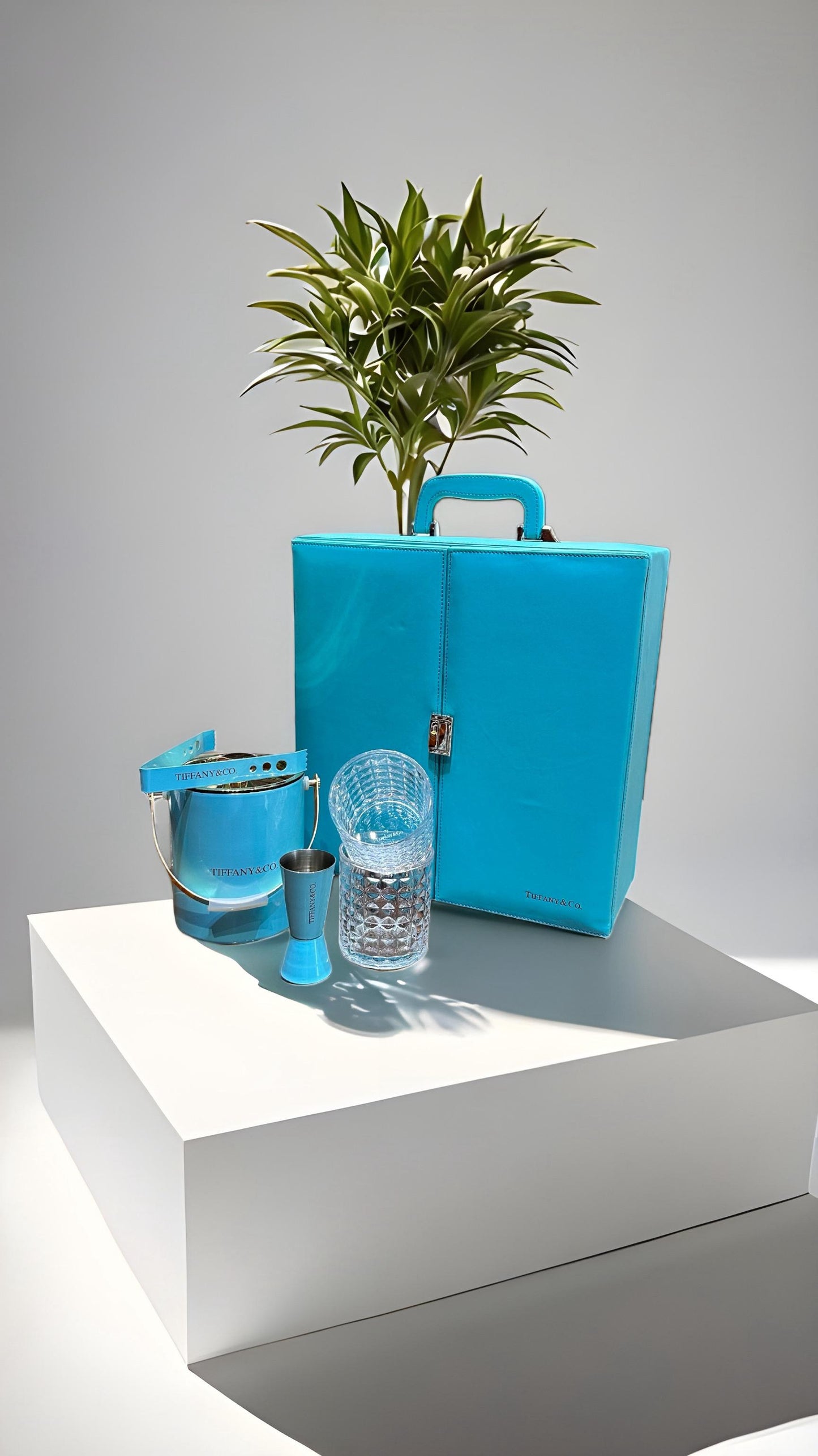 TIFFANY BAR SET – ALMIRAH STYLE CASE (ONLY PREPAID)