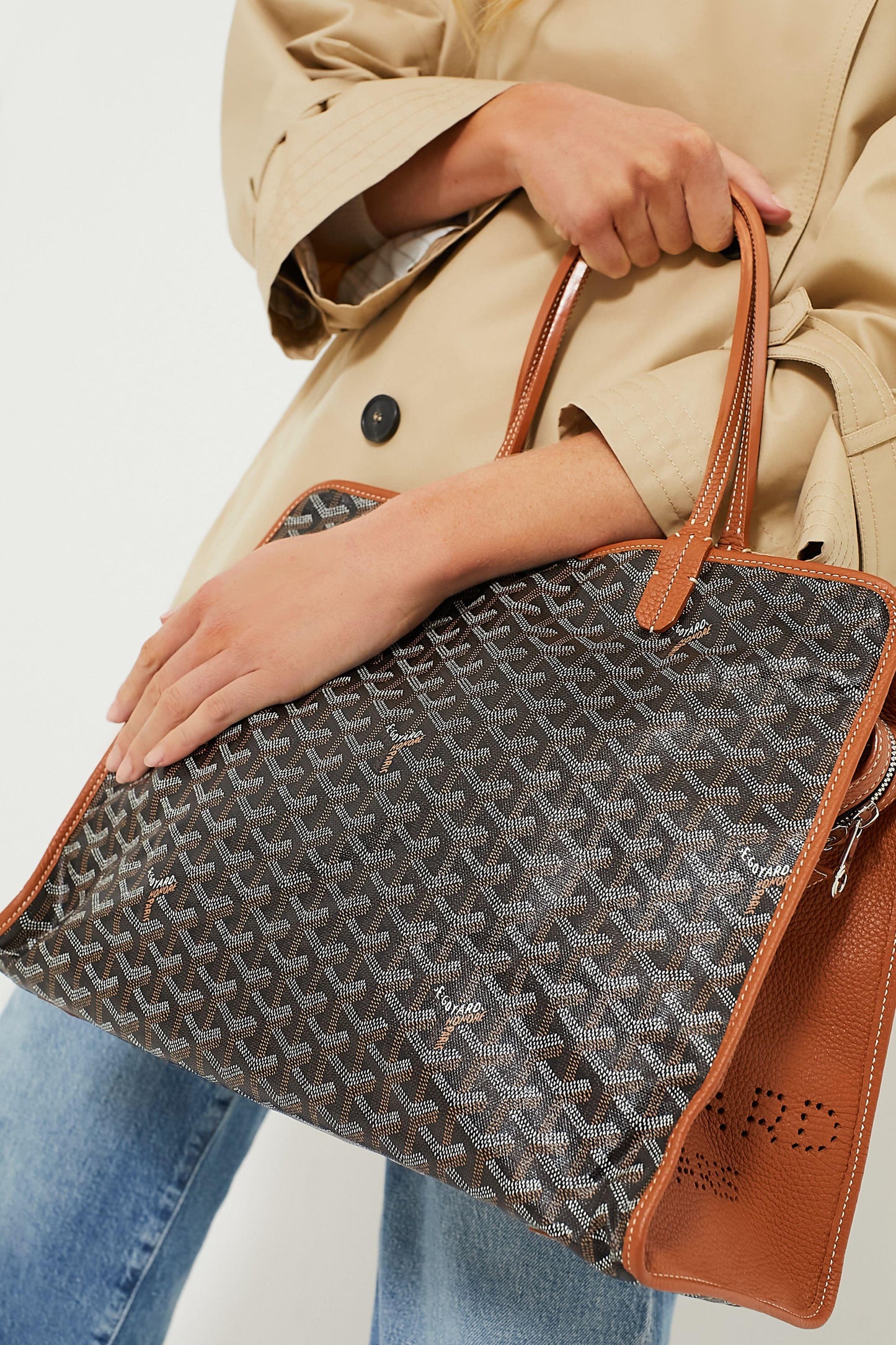 GOYARD HARDY PM TOTE