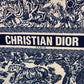 Dior Book Tote Oblique Embroidery With OG Box & Dust Bag & Scarf