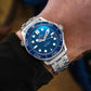 Omega Seamasters Premium Automatic Collection Watch