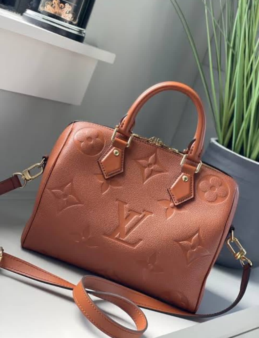 Louis Vuitton Speedy Bags