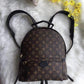 LOUIS VUITTON UNISEX BACKPACKS  IN MONOGRAM PRINT