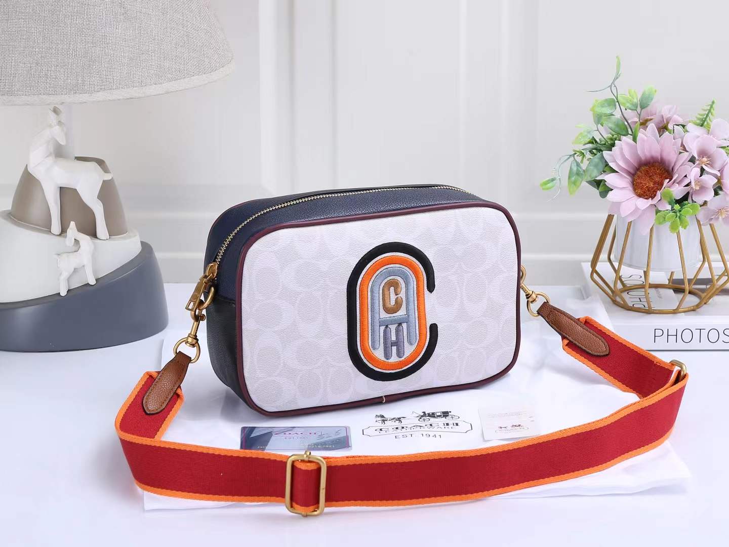 COACH CAMERA BAGS