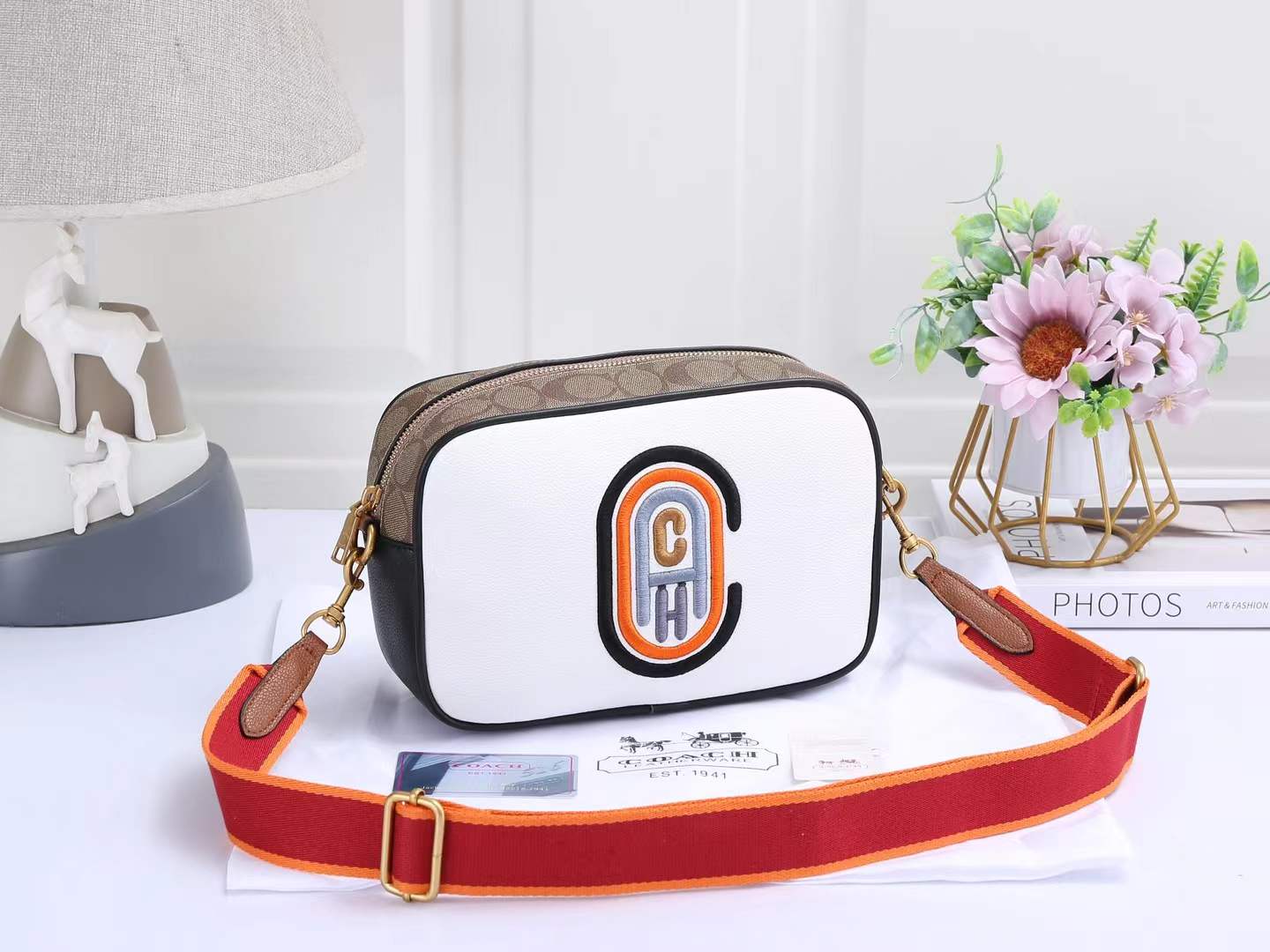 COACH CAMERA BAGS