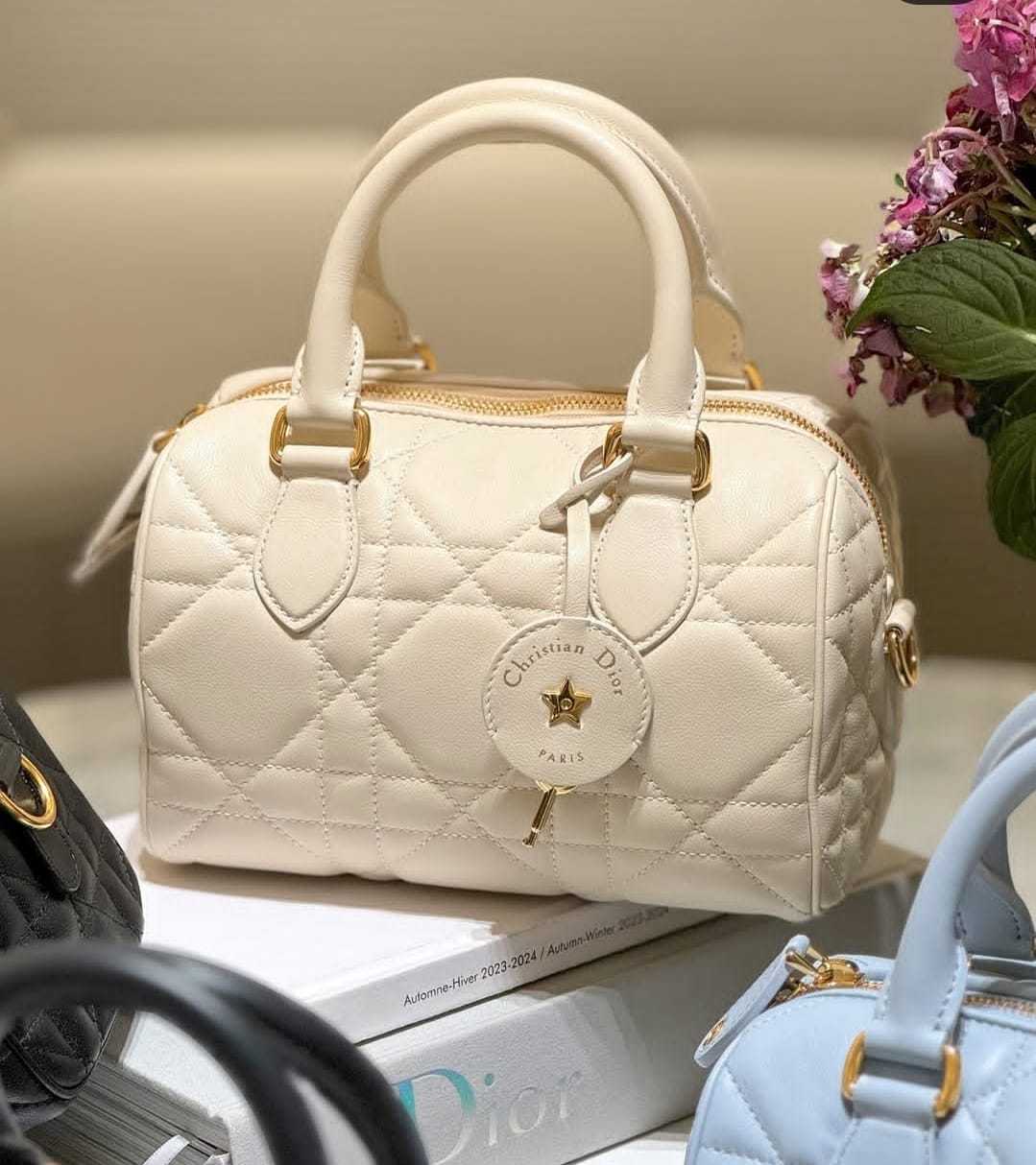 DIOR GROOVE OBLIQUE SPEEDY BAGS