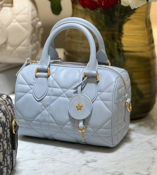 DIOR GROOVE OBLIQUE SPEEDY BAGS