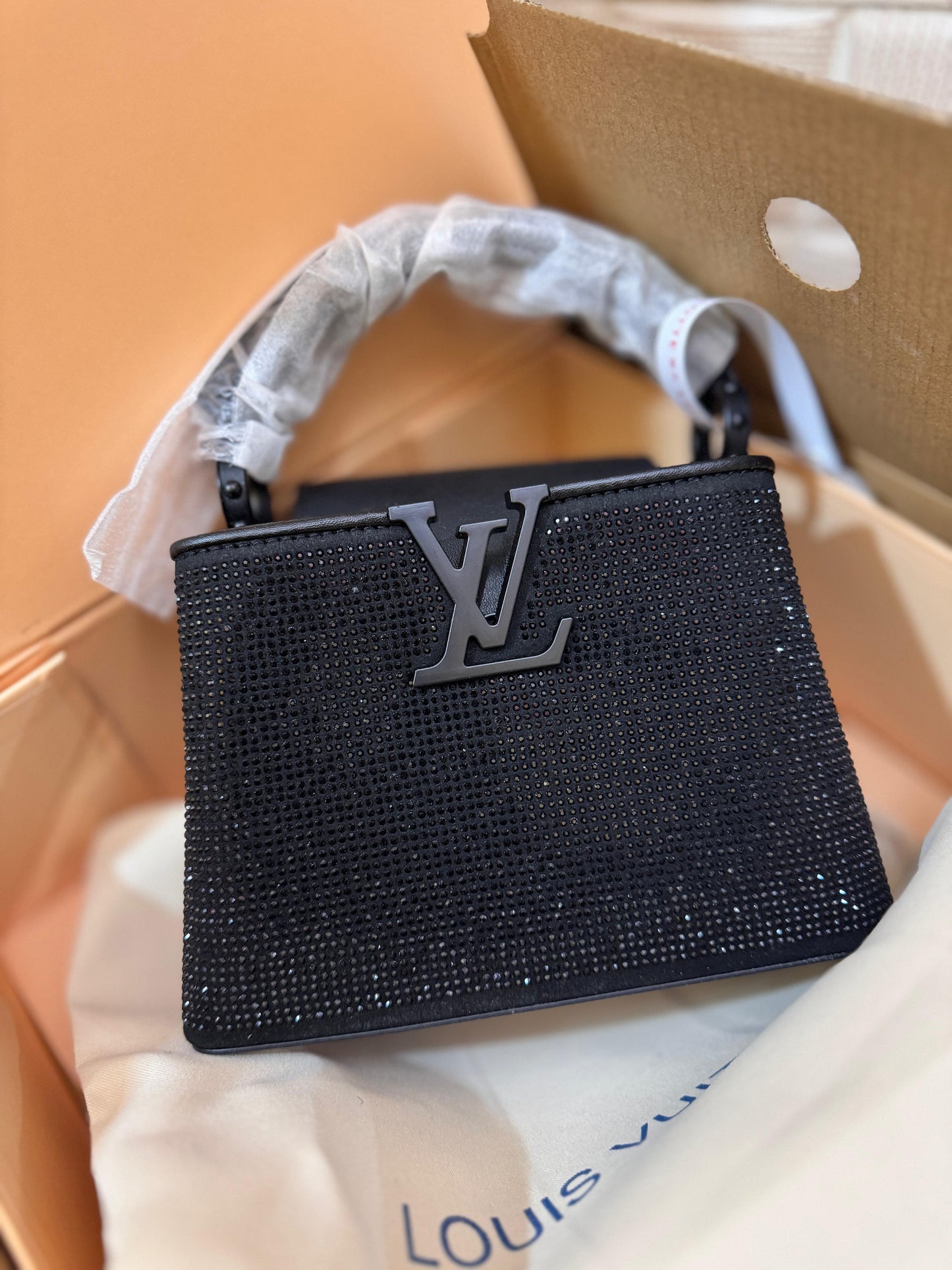 LOUIS VUITTON GLITTERY CAPPUCINES