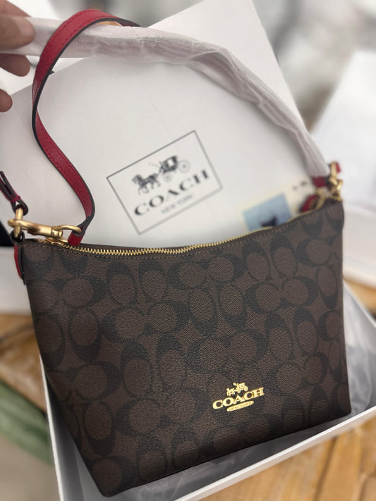 COACH MOON HOBO