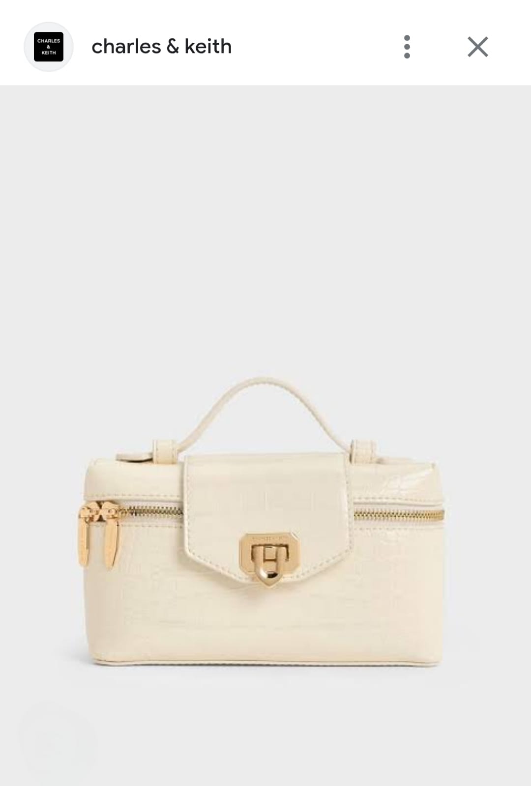 CHARLES & KEITH ARWEN TOP HANDLE VANITY BAG