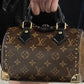 LOUIS VUITTON CRUISE SPEEDY BAG