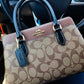 COACH DARCIE CARRYALL BAG