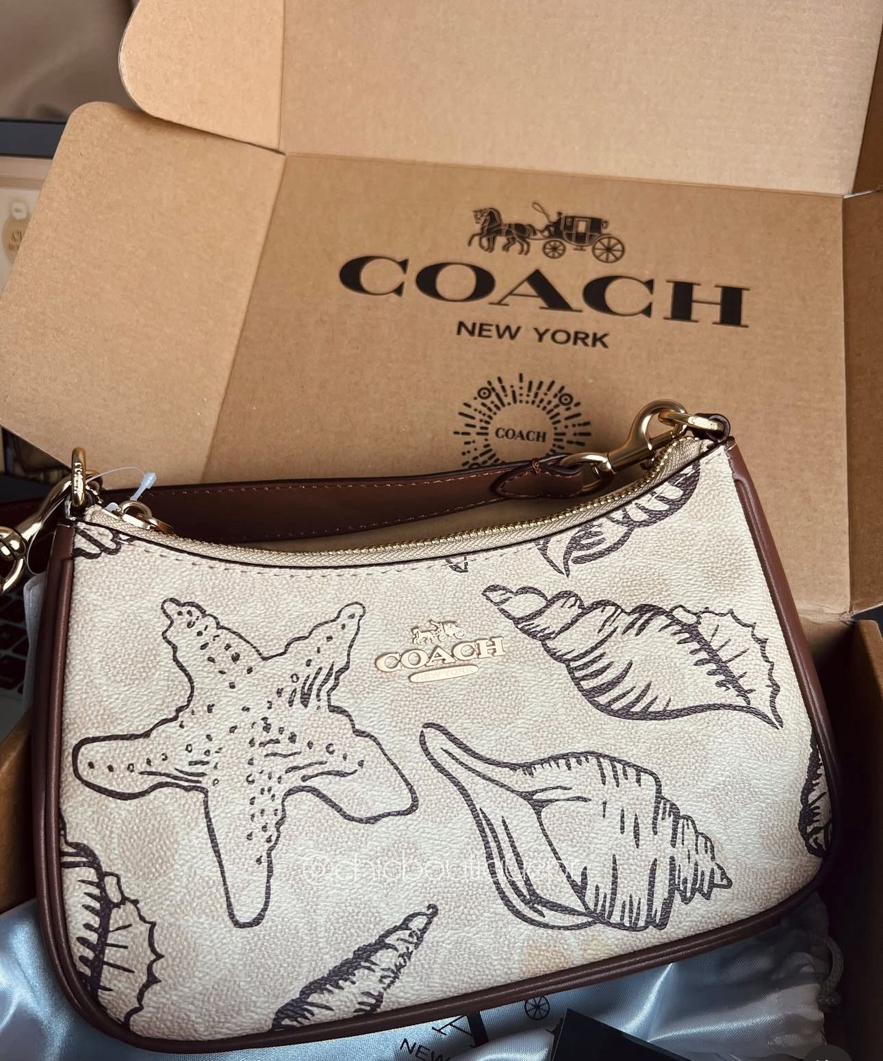 COACH TERI SHELL SERIES
