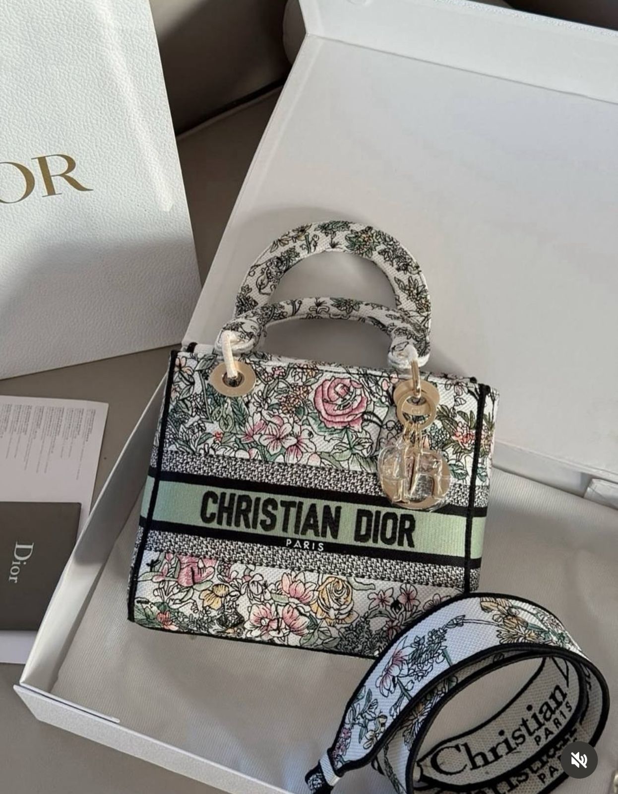 LADY DIOR EMBROIDERED
