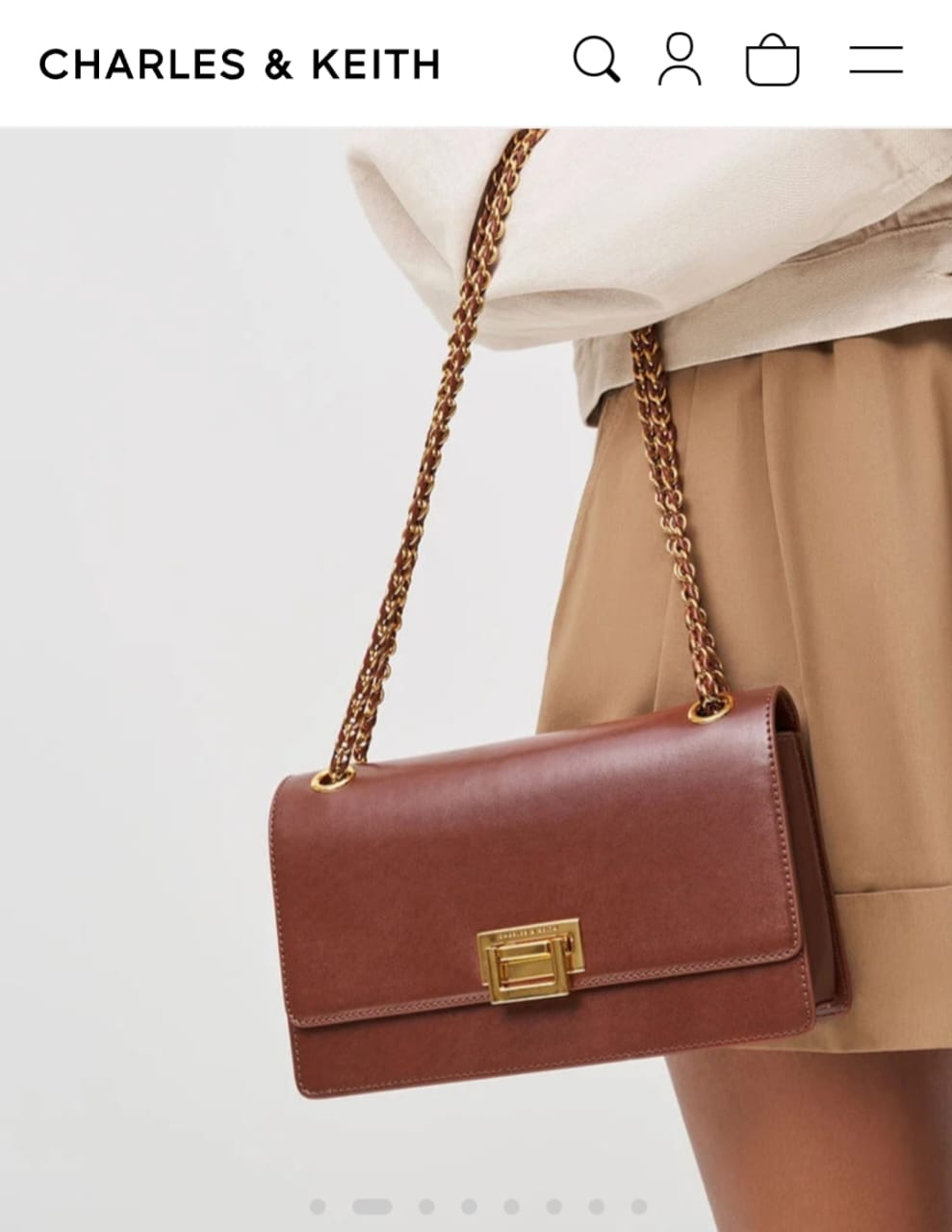 Charles & Keith Everline Braided Strap Bags