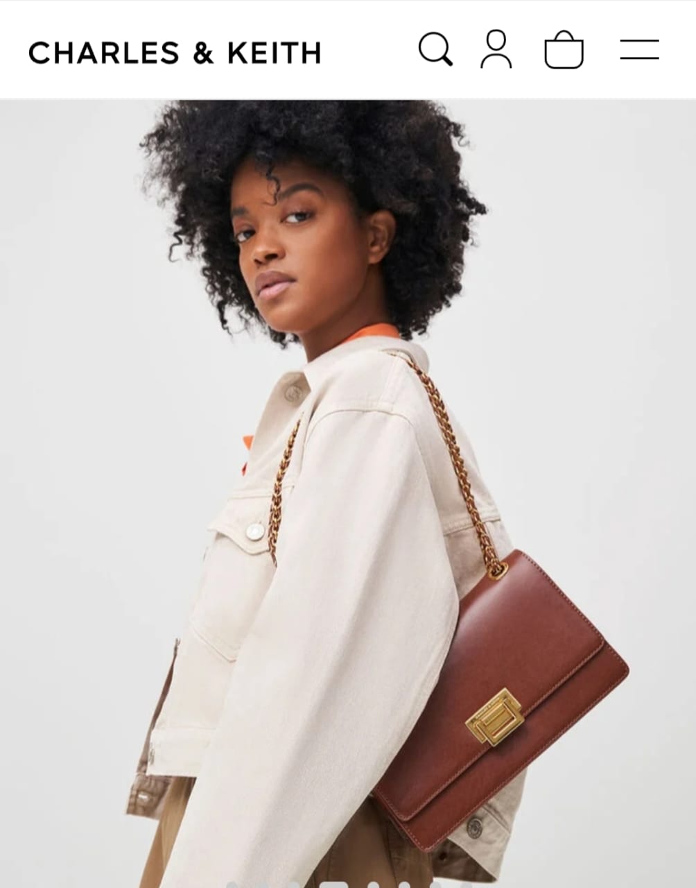 Charles & Keith Everline Braided Strap Bags