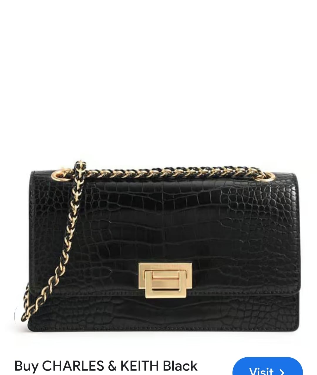 Charles & Keith Everline Braided Strap Bags