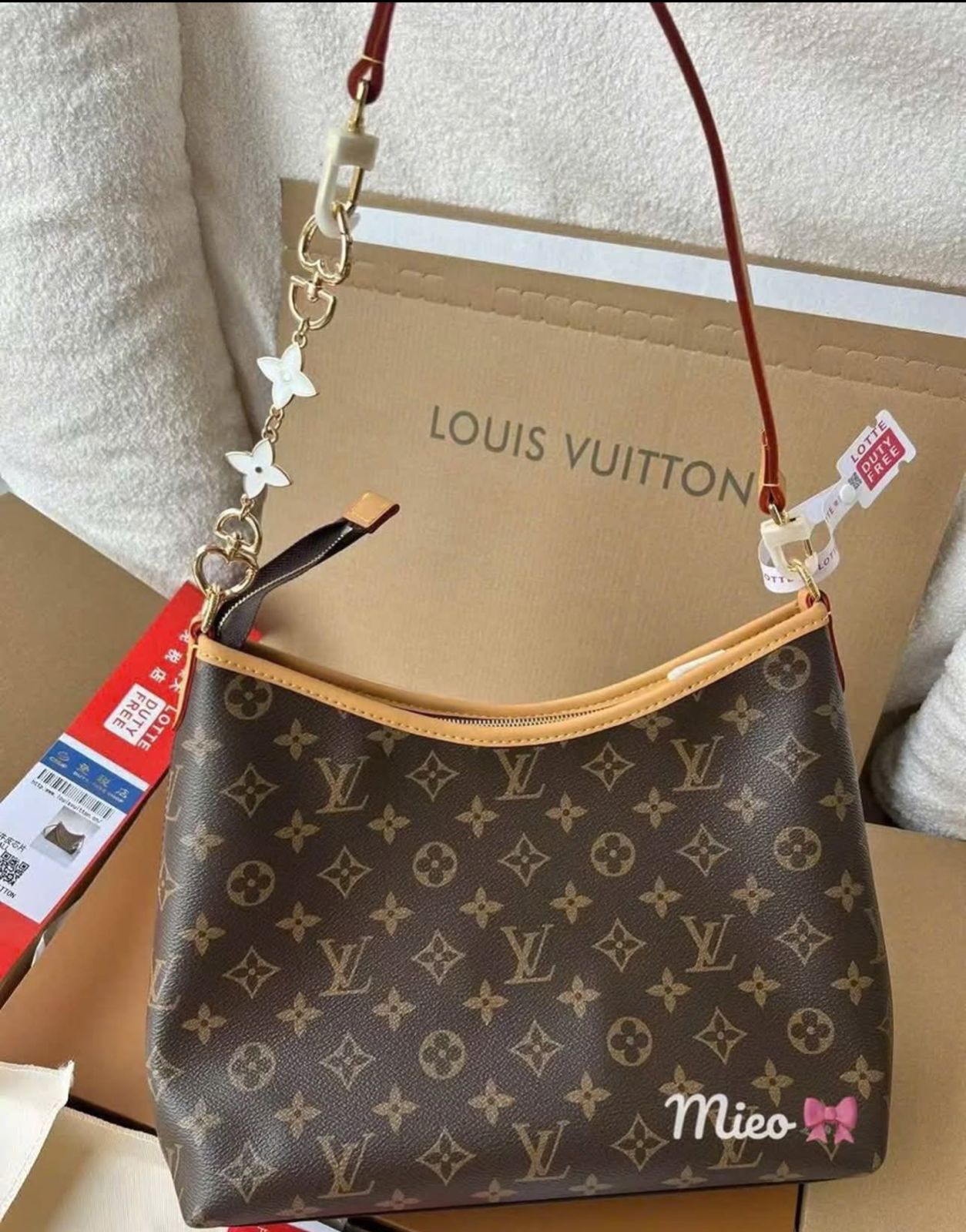 Louis Vuitton Carry All Hobo Larze Size
